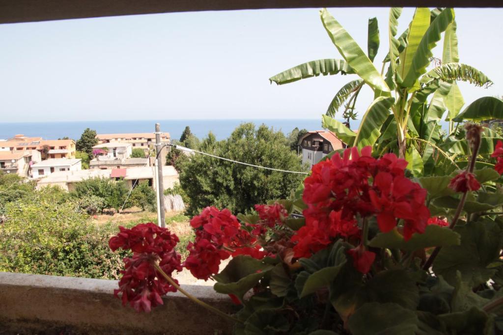 Bed And Breakfast Casagalez ซานตาโดเมนิกา ห้อง รูปภาพ