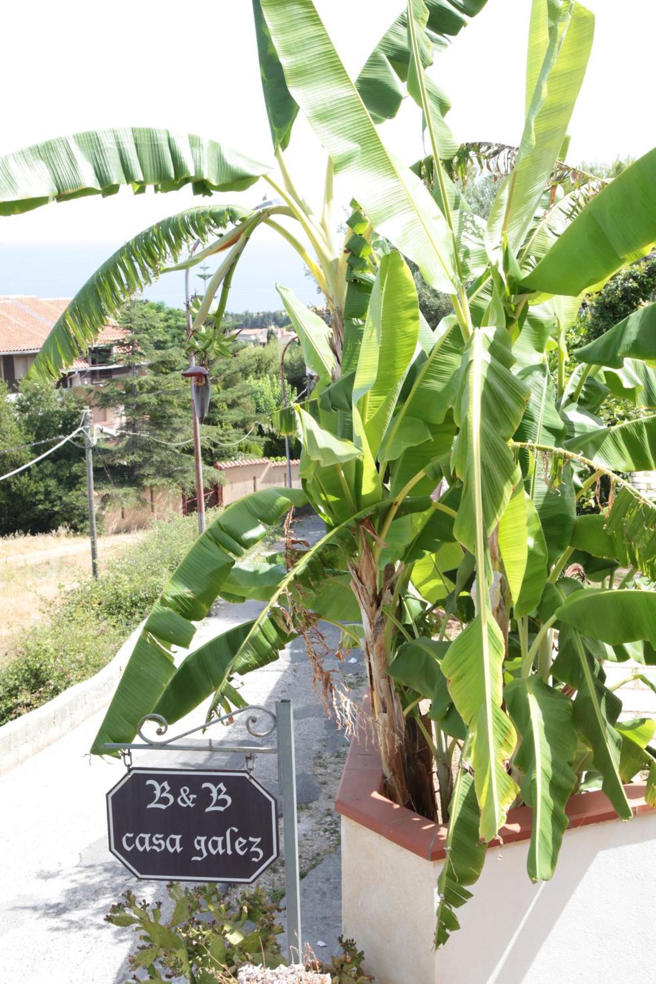 Bed And Breakfast Casagalez ซานตาโดเมนิกา ภายนอก รูปภาพ